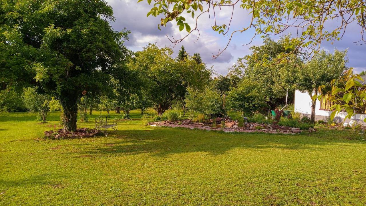 Villa Kopp-Das Gaestehaus Hopfingen Ngoại thất bức ảnh